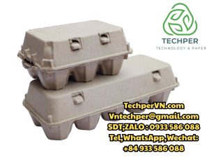 khay giấy đựng trứng