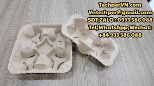 khay giấy đựng trứng